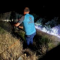 Siirt'te hayvan otlatırken kayalıktan düşen çocuk yaralandı - Güncel haberler thumbnail