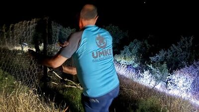 Hayvan otlatırken kayalıktan düştü