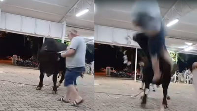 Boğanın boynuz darbesiyle havaya fırladı!