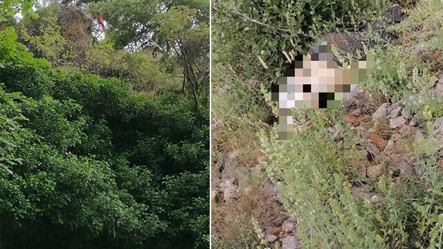 Fatma Acar, 45 yaşındaydı... Bir ot canından etti!