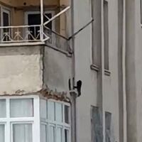 " Evlere iniyor, ne bulursa yiyor"