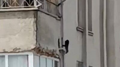 " Evlere iniyor, ne bulursa yiyor"