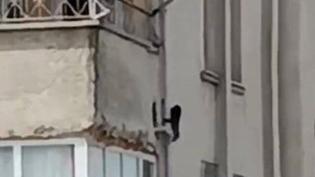 " Evlere iniyor, ne bulursa yiyor"