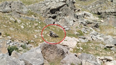 Batman'da bilirkişi heyeti kaza yaptı! 5 can kaybı var!