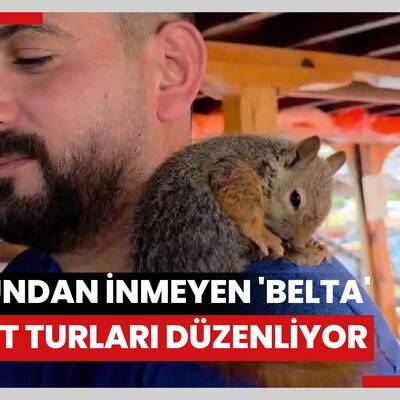 Omzundan inmeyen 'Belta' ile yat turları düzenliyor