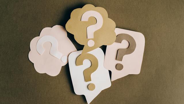 Şase numarası nedir?