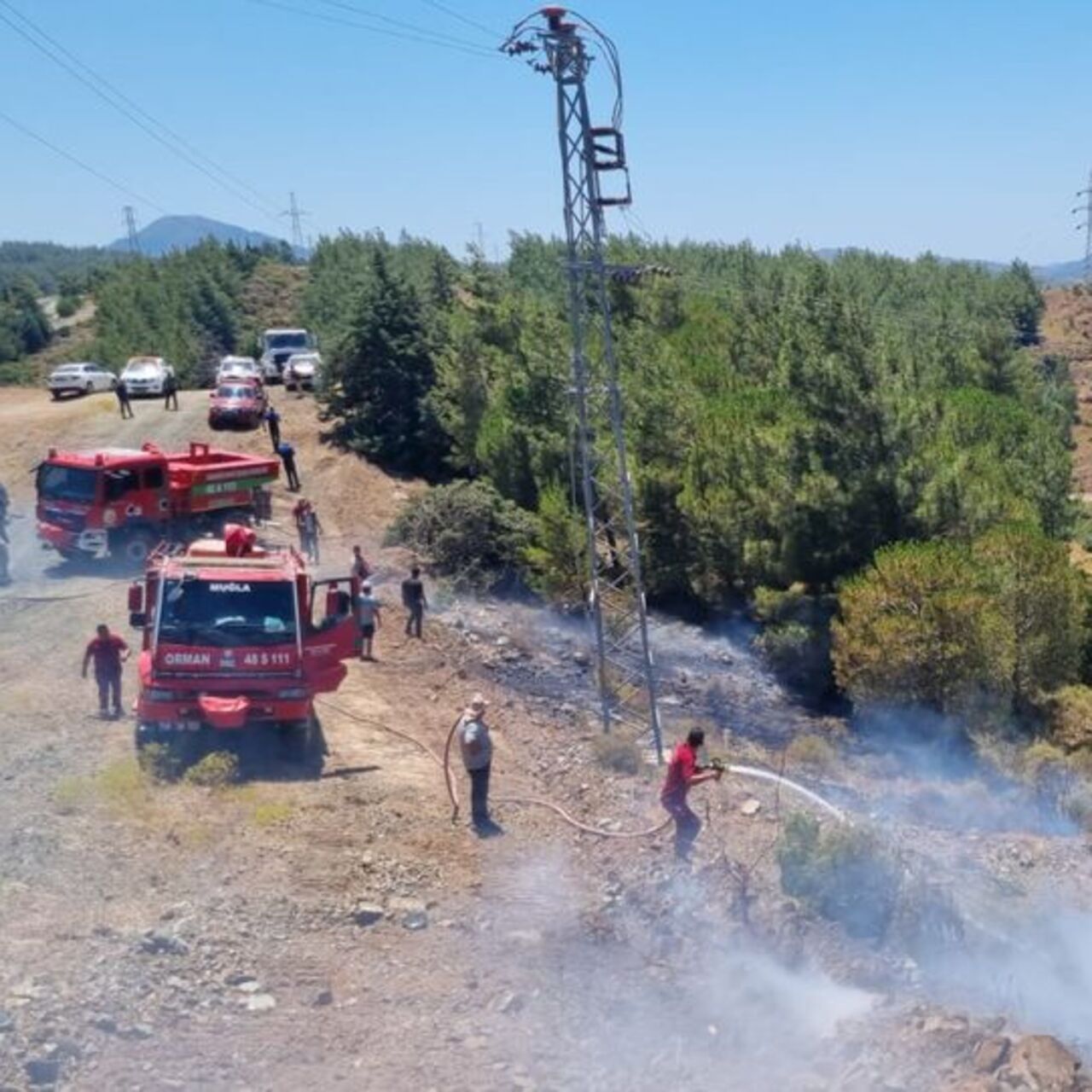Marmaris'te orman yangını çıktı