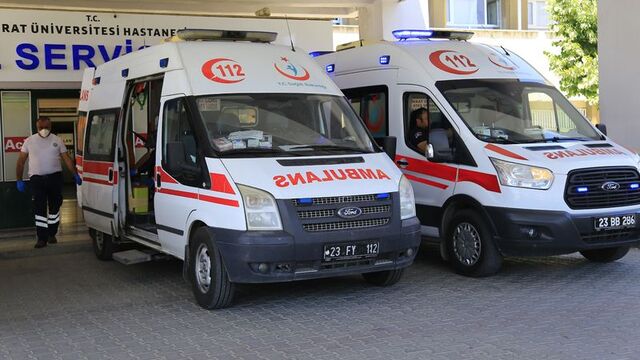 Elazığ'da kenenin ısırdığı kişi tedaviye alındı