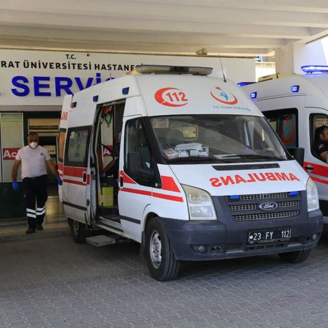 Elazığ'da kenenin ısırdığı kişi tedaviye alındı