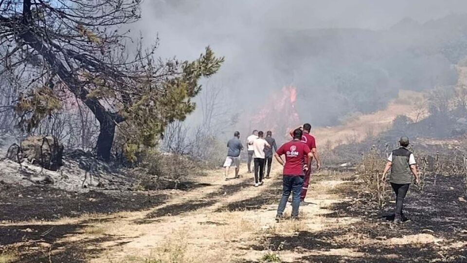 Semaver yakarken ormanı yakan kadına ev hapsi cezası