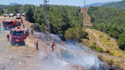 Marmaris'te orman yangını çıktı