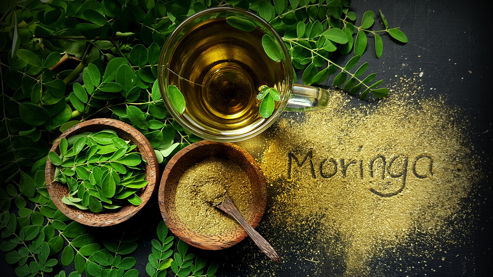 Gençlik ve enerji için Moringa!