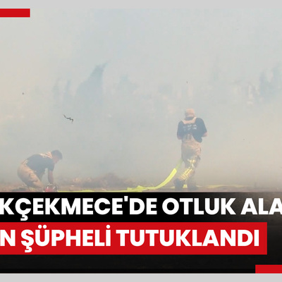 Küçükçekmece'de otluk alanı yakan şüpheli tutuklandı