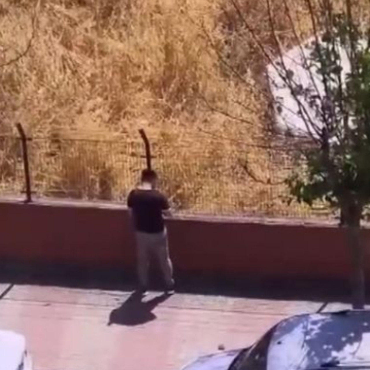 Otluk alanı yakan şüpheli tutuklandı | Güncel Haber