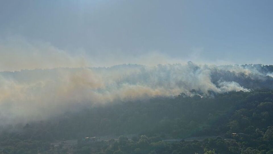 Balıkesir'de ve İzmir'de orman yangını
