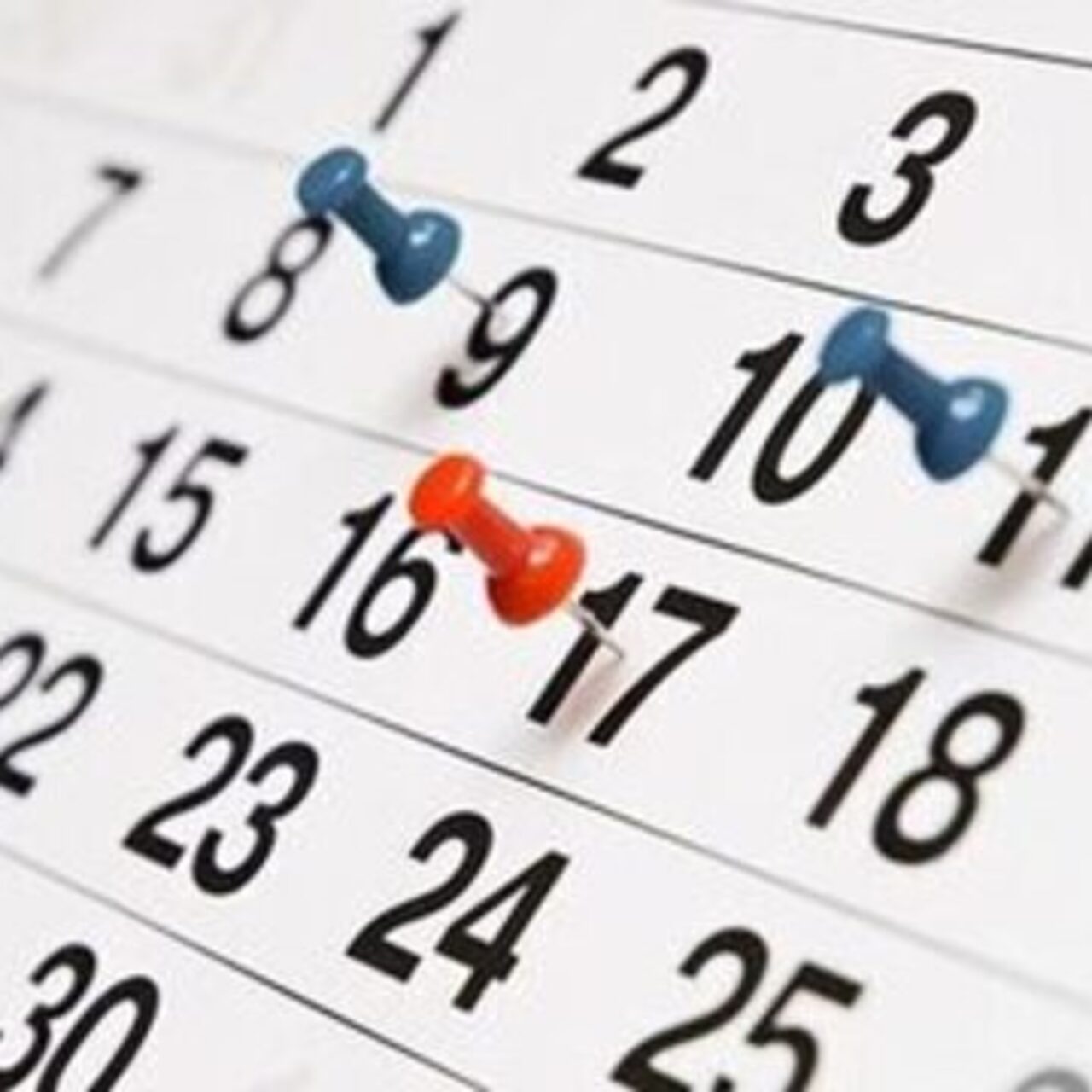 26 Haziran dünya ne günü?