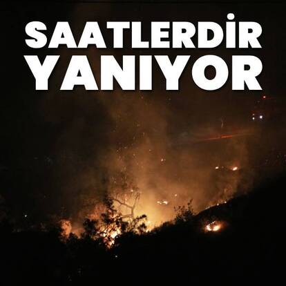 İzmir Aliağa'daki yangın saatlerdir devam ediyor