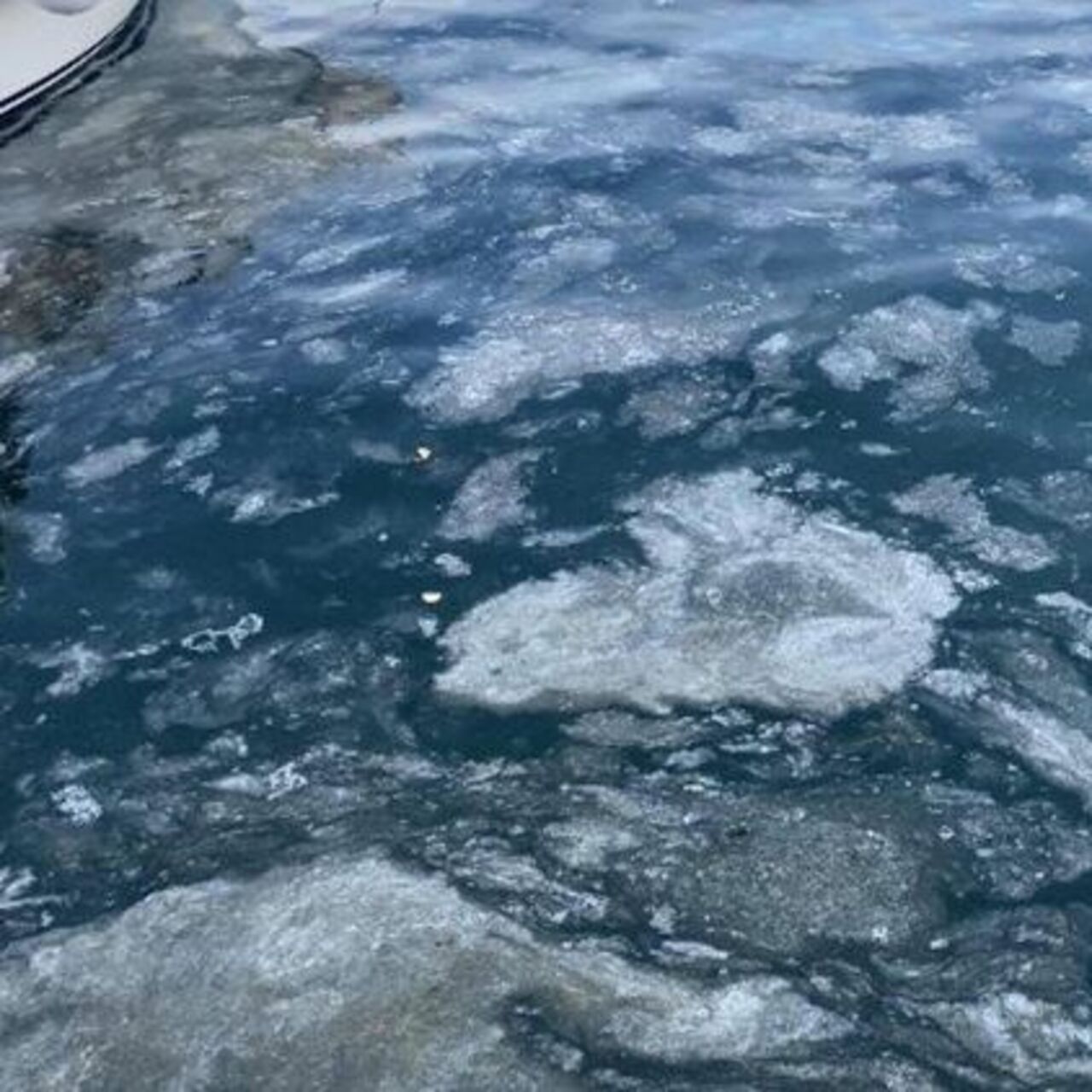 Çanakkale Boğazı'ndan sevindiren haber