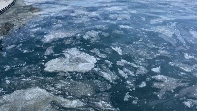 Çanakkale Boğazı'ndan sevindiren haber