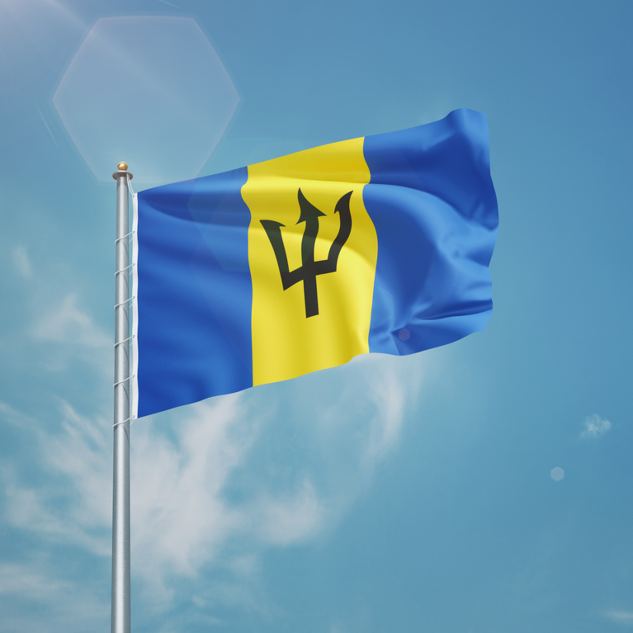 Barbados telefon kodu