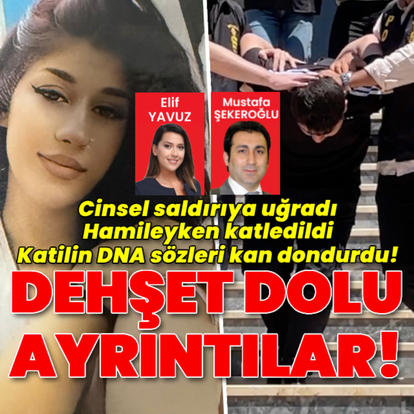 Cinsel saldırıya uğramış hamileyken katledilmişti! Sır perdesi aralandı!