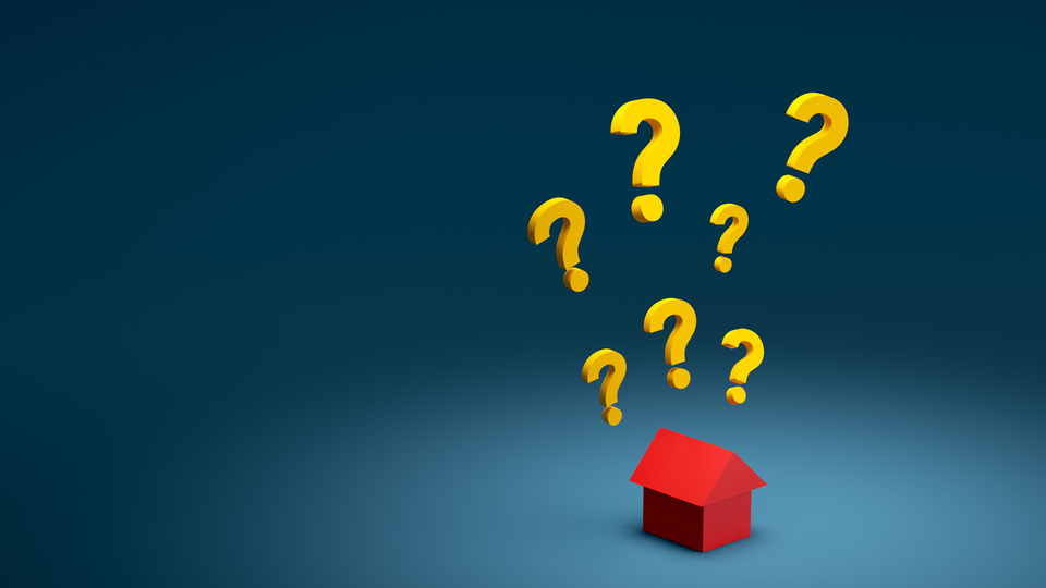 Derleme numarası nedir?