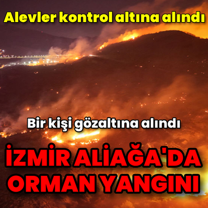 İzmir'deki orman yangını kontrol altında