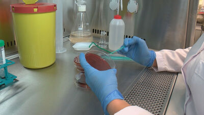 "Kırım Kongo aşısında Türkiye umut olacak"