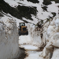 Rize'de haziran sonunda kaydedildi!