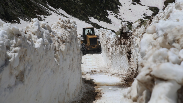 Rize'de haziran sonunda kaydedildi!