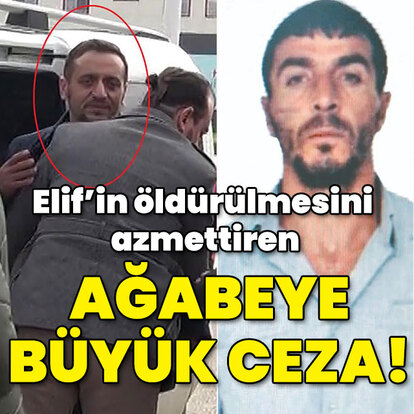 Elif'in öldürülmesini azmettiren ağabeye büyük ceza!