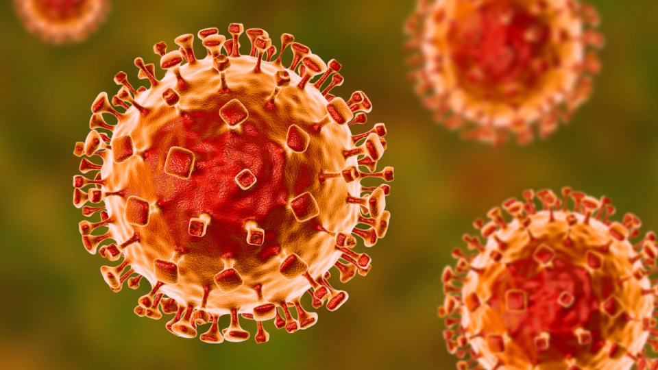 Çin'de iki yeni virüs keşfedildi! "İnsanlara bulaşabilir" uyarısı!