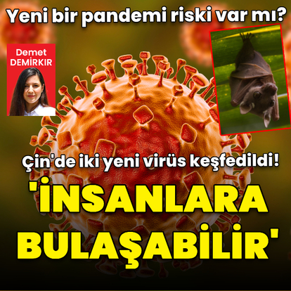 Çin'de iki yeni virüs keşfedildi! "İnsanlara bulaşabilir" uyarısı!