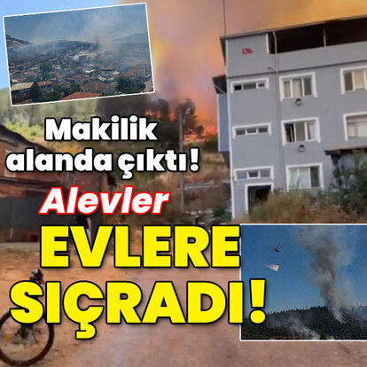 Makilik alanda çıktı! Alevler evlere sıçradı!