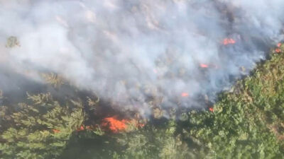Antalya'da sürüyor, İzmir'de kontrol altında