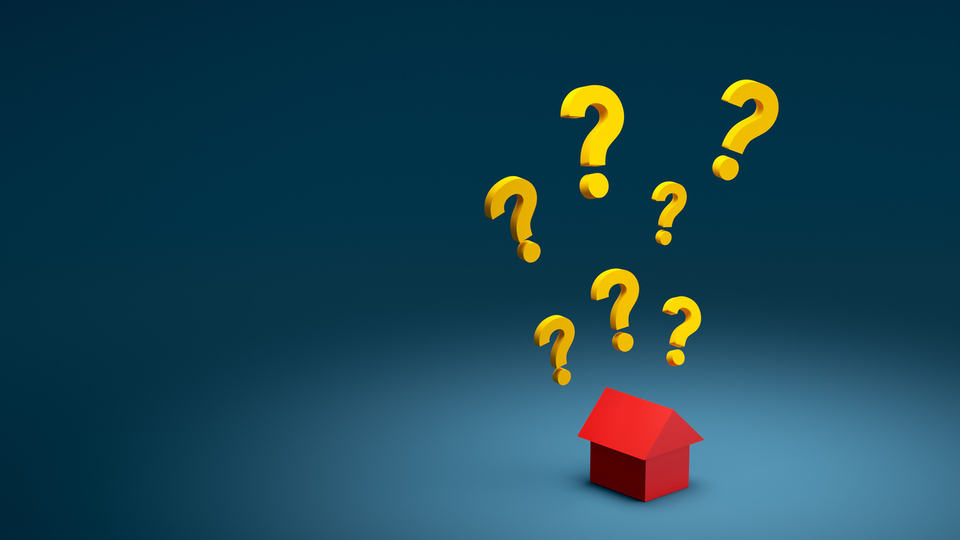 IMO numarası nedir?