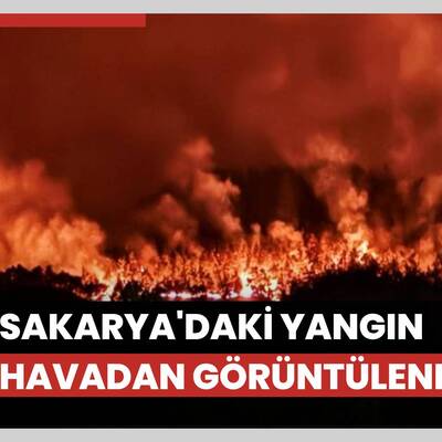 Sakarya'daki yangın havadan görüntülendi