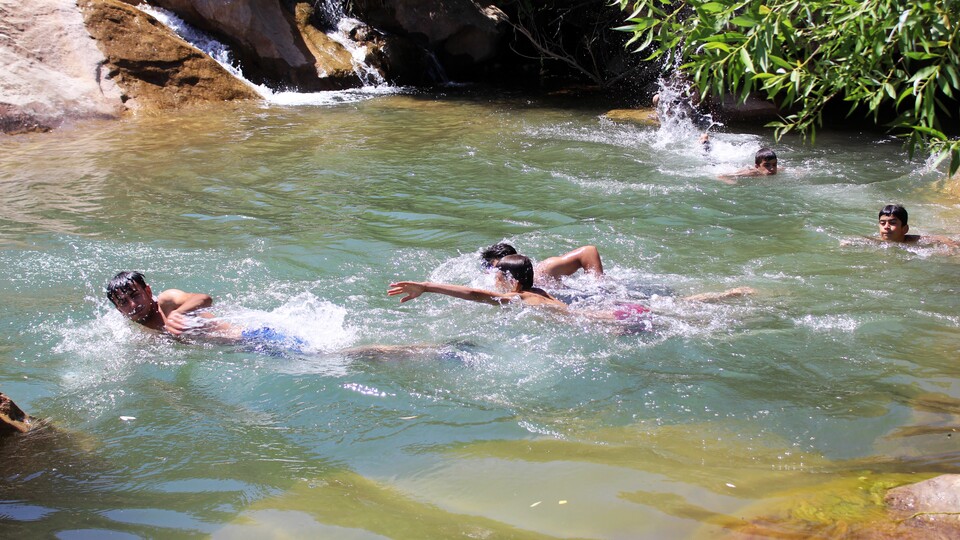 Serinlemek için giriliyor ama dikkat! Ölümcül olabilir