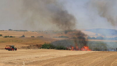 Lalapaşa'da "hasat" ve "balya"ya saat düzenlemesi