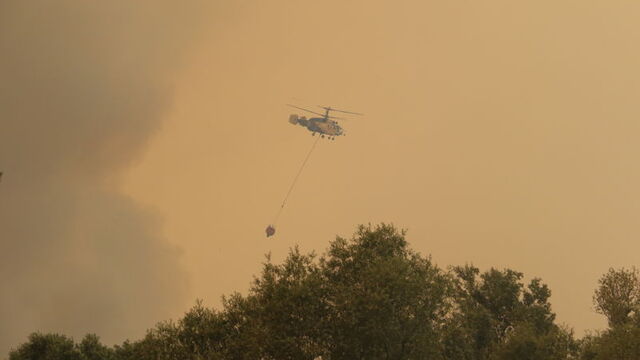 Orman yangınlarında 17 gözaltı var!