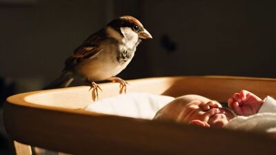 Yeni albümüyle müzik dünyasına hareket getirdi