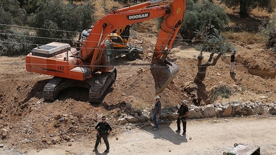İsrailliler, Batı Şeria'da çok sayıda zeytin ağacını söktü