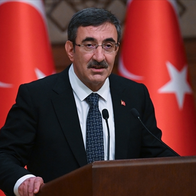 Cumhurbaşkanı Yardımcısı Yılmaz'dan orman yangınları açıklaması