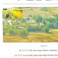 Narin cinayetinde çarpıcı detay