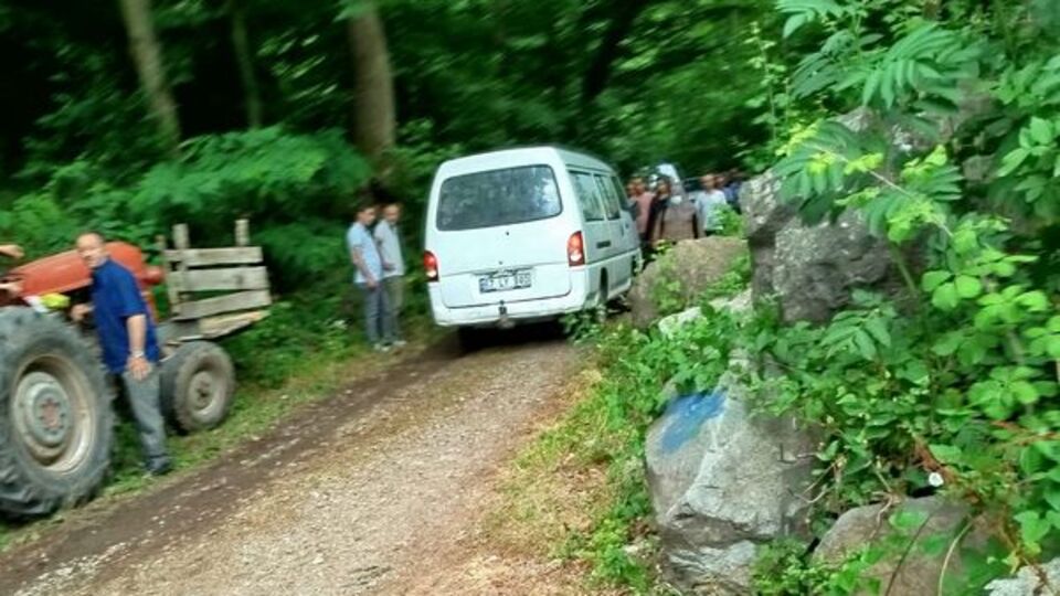 Kestiği ağaç ölümüne yol açtı