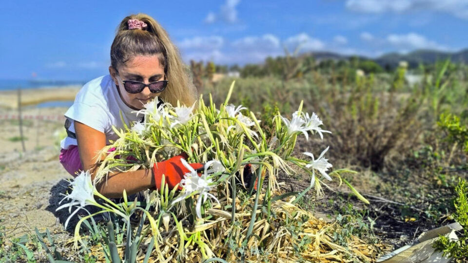Demir kafesle çevrildi! Koparana 387 bin lira ceza