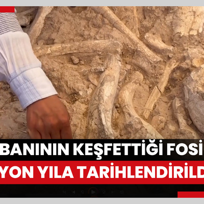 Keçi çobanının keşfettiği fosil alanı 7,7 milyon yıla tarihlendirildi
