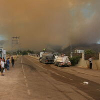 Orman yangınlarında son durum! İzmir'deki yangın 3.gününde!