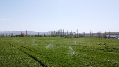 Tarımsal Yapılar ve Sulama Bölümü