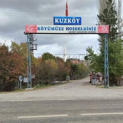 İskilip'te bir köyde şap karantinası